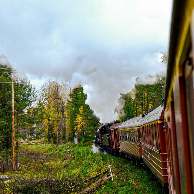 Upplevelser genom tågfönstren